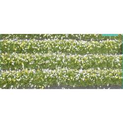 Blossom strips.