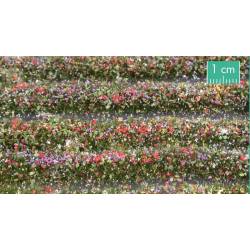 Blossom strips.