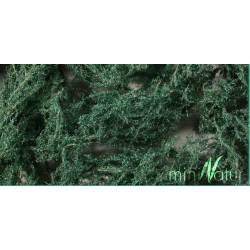 Groundcover evergreen, bright. SILHOUETTE 993-22S