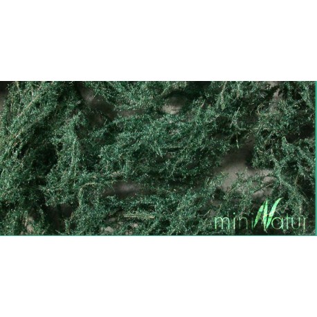 Groundcover evergreen, bright. SILHOUETTE 993-22S