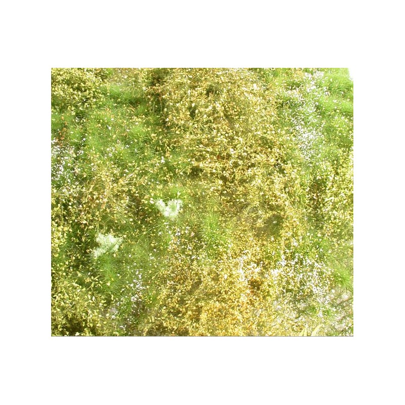 Proliferation area. SILHOUETTE 732-21S