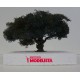 Olive tree. SILHOUETTE 245-12