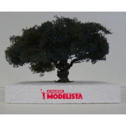 Olive tree.
