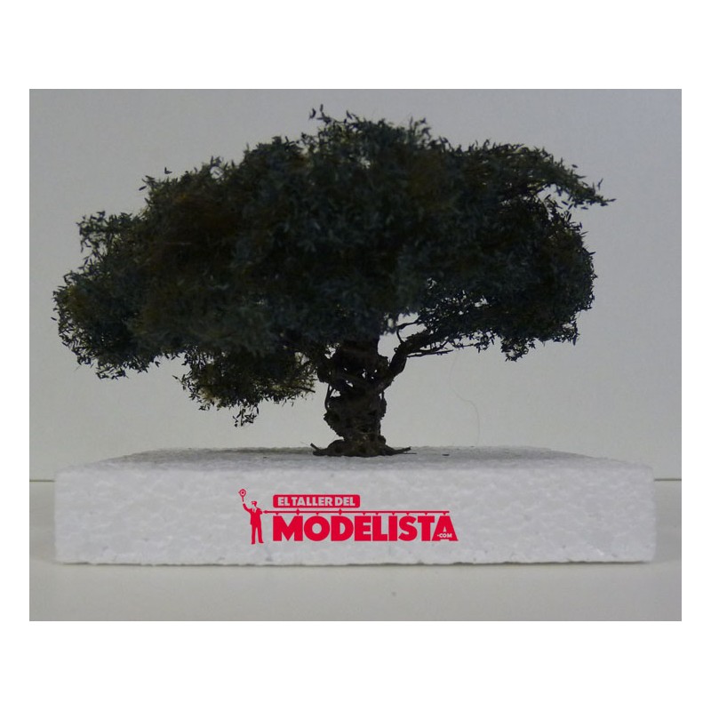 Olivo. SILHOUETTE 245-12