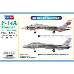 F-14 Para Tomcat.