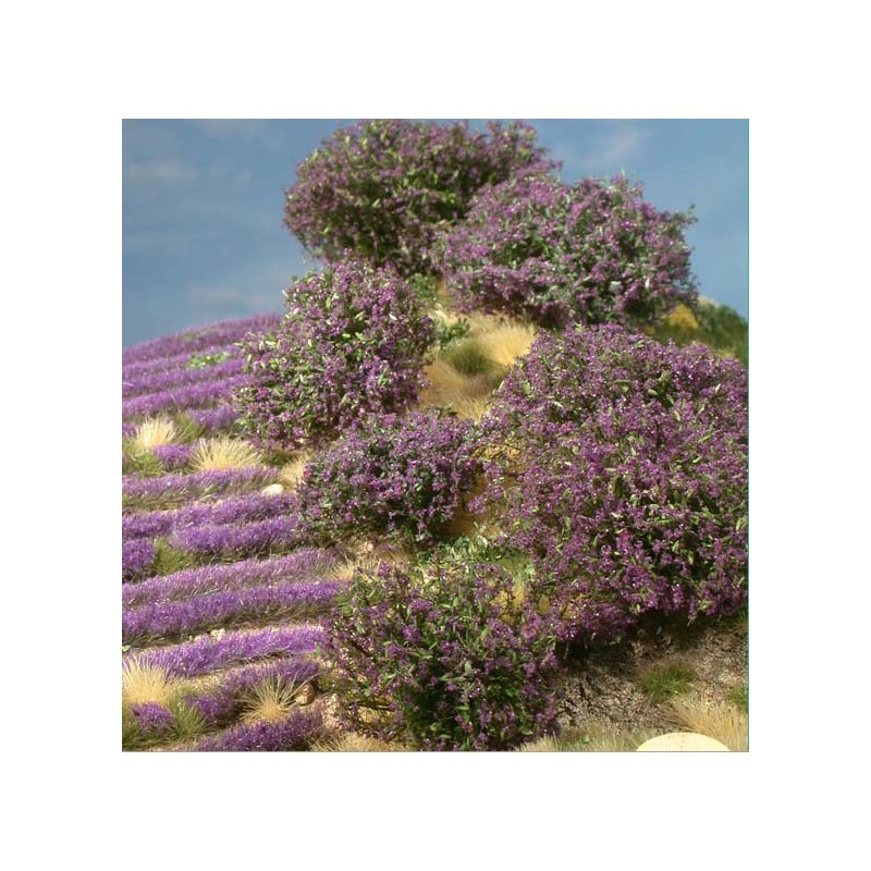 Planta arbustiva en tonos violetas. SILHOUETTE 253-06