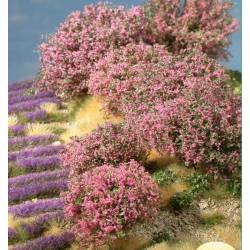 Planta arbustiva em tons rosados.