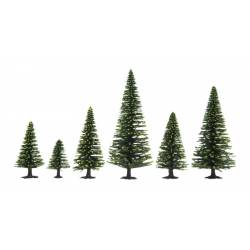 50 model spruce trees.