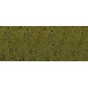 Hierba, verde lima.