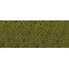 Hierba, verde lima.