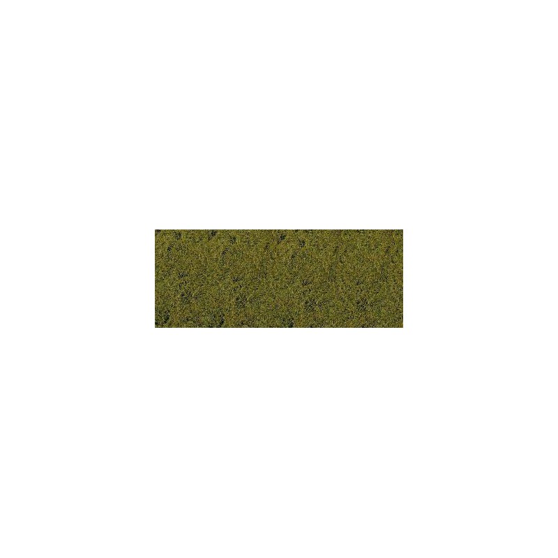 Hierba, verde lima.