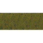 Hierba, verde lima.
