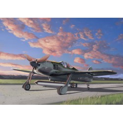 Fw190A-5/U14.