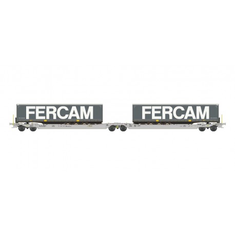 Dual port trailer platform, FERCAM.