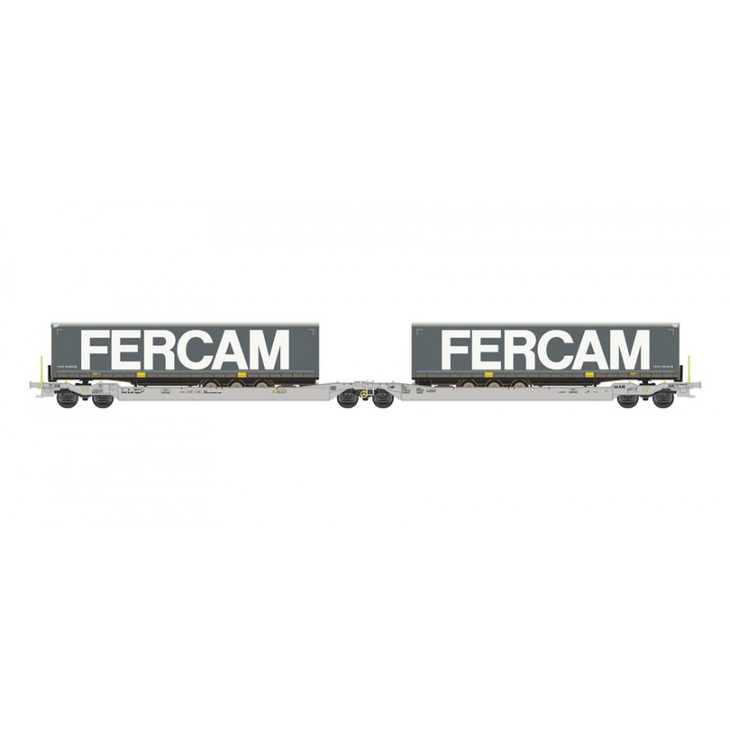 Dual port trailer platform, FERCAM. Dual port trailer platform, FERCAM.