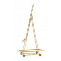 Lorry ladder catenary inspection.