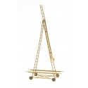 Lorry ladder catenary inspection.