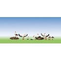 Storks in their nest. FALLER 154006
