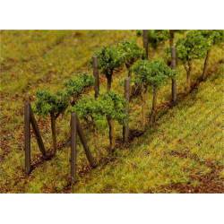 Vines.