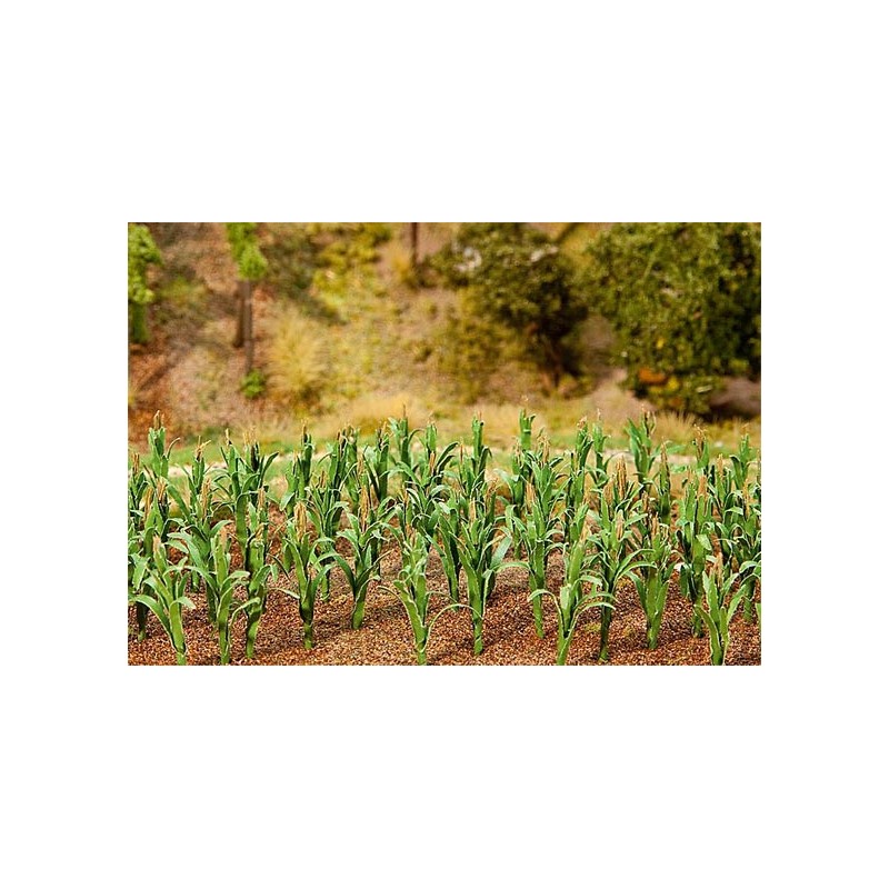 36 Maize plants. FALLER 181250