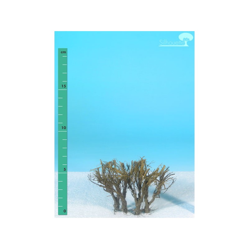 Plantas arbustivas. SILHOUETTE 250-00