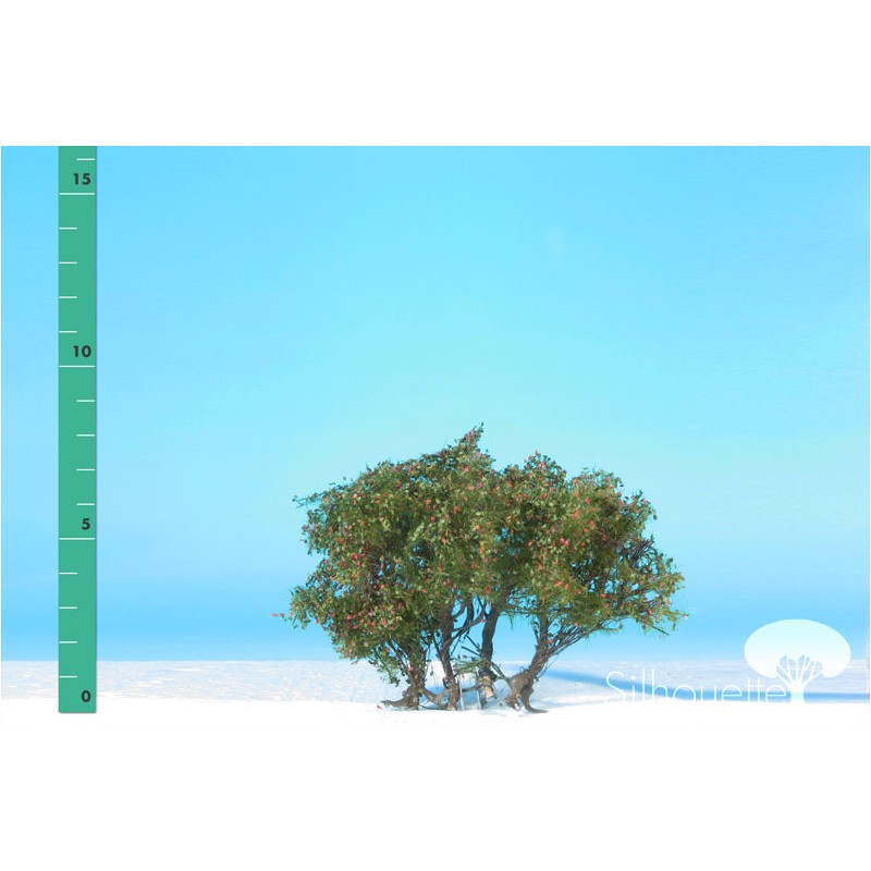 High shrubs. SILHOUETTE 250-03