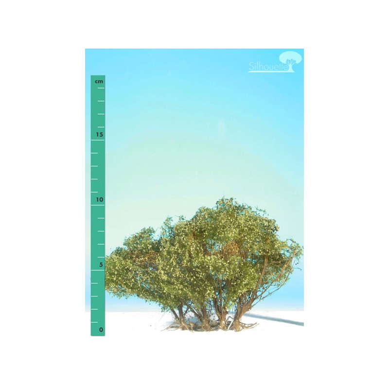 Plantas arbustivas. SILHOUETTE 250-12