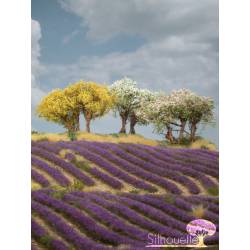 Plantas arbustivas en varios colores.