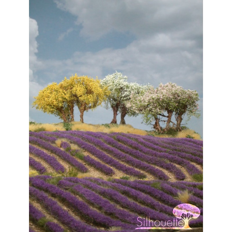 Plantas arbustivas en varios colores. SILHOUETTE 251-05 Plantas arbustivas en varios colores. SILHOUETTE 251-05