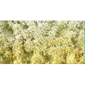 Flores en primavera. SILHOUETTE 726-21