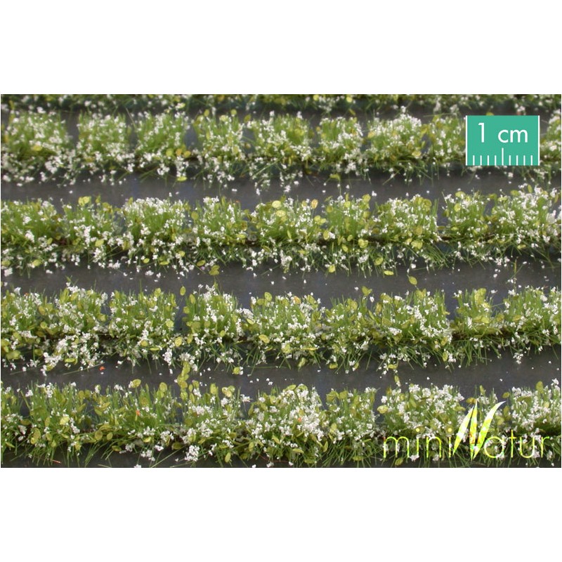 Campo de flores blancas. SILHOUETTE 767-21