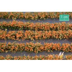 Flower field strips. SILHOUETTE 767-25S