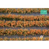 Campo de flores naranjas. SILHOUETTE 767-25S