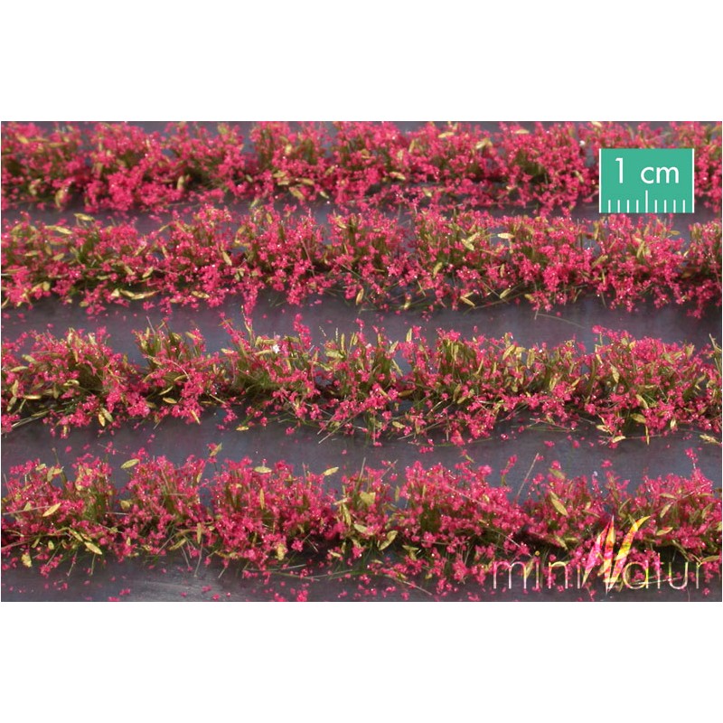 Campo de flores magenta. SILHOUETTE 767-26S