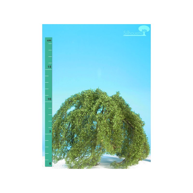 Sauce llorón. SILHOUETTE 240-12