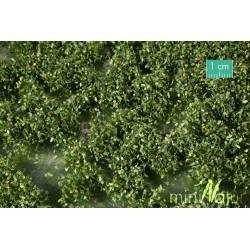 Arbustes de mauvaises herbes.