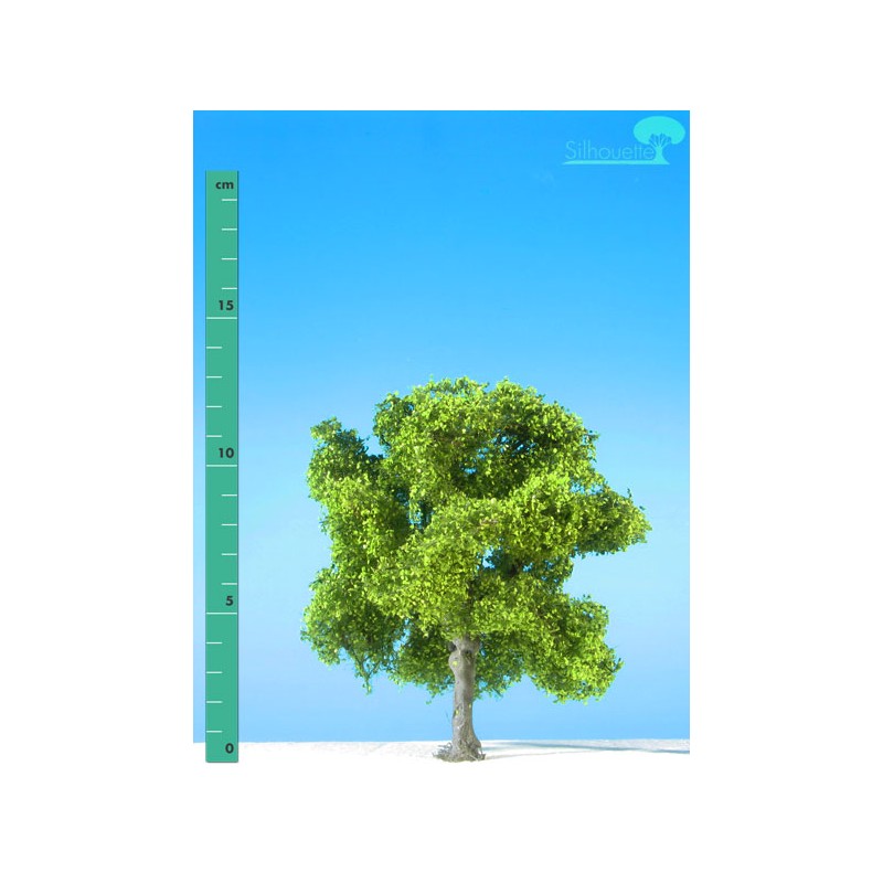 Beech. SILHOUETTE 220-11