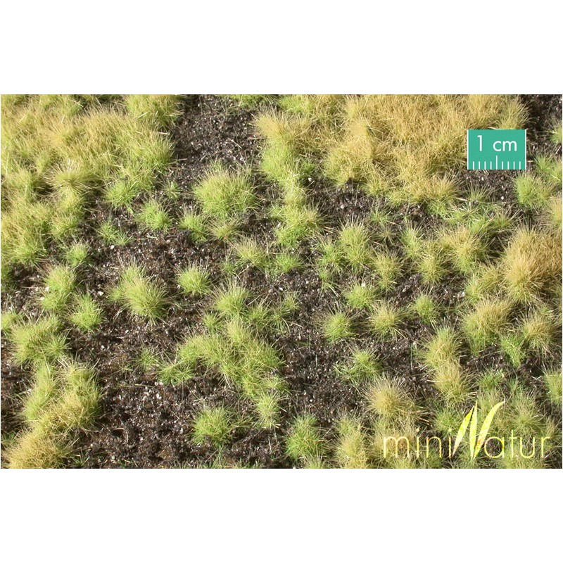 Cobertura de verde para el suelo. SILHOUETTE 735-21S