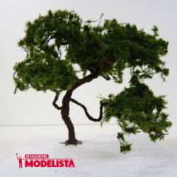 Japanese pine.