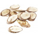 Tree slice.