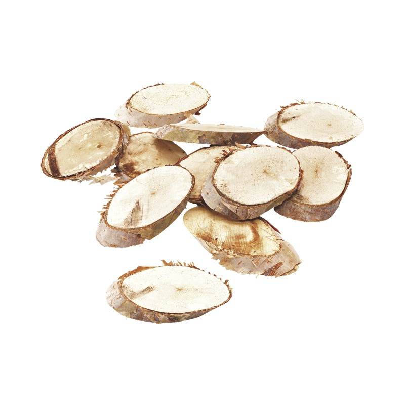 Tree slice.