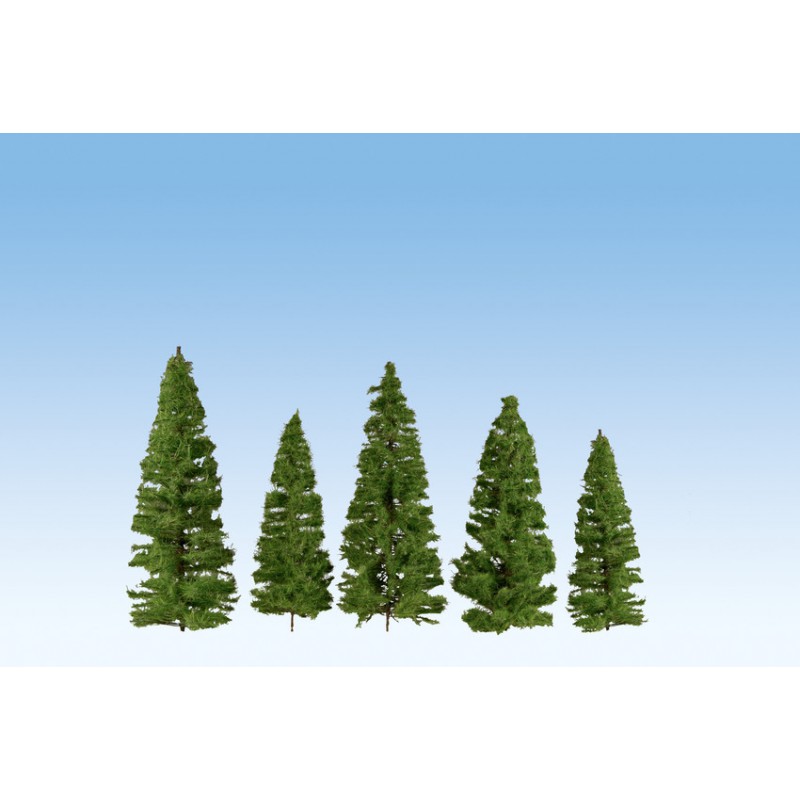 Fir trees, dark green. Fir trees, dark green.