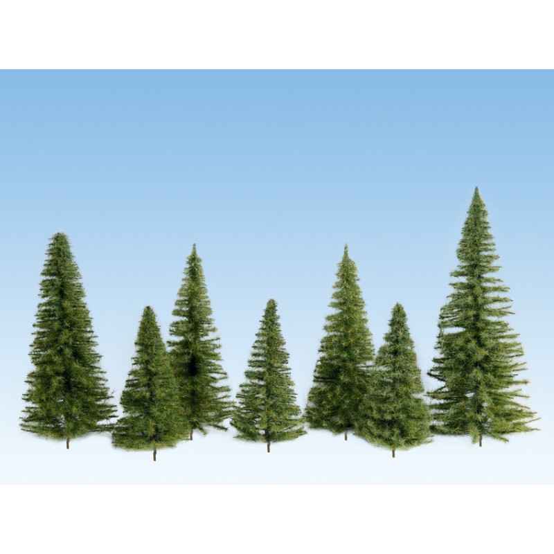 Fir trees, dark green. Fir trees, dark green.