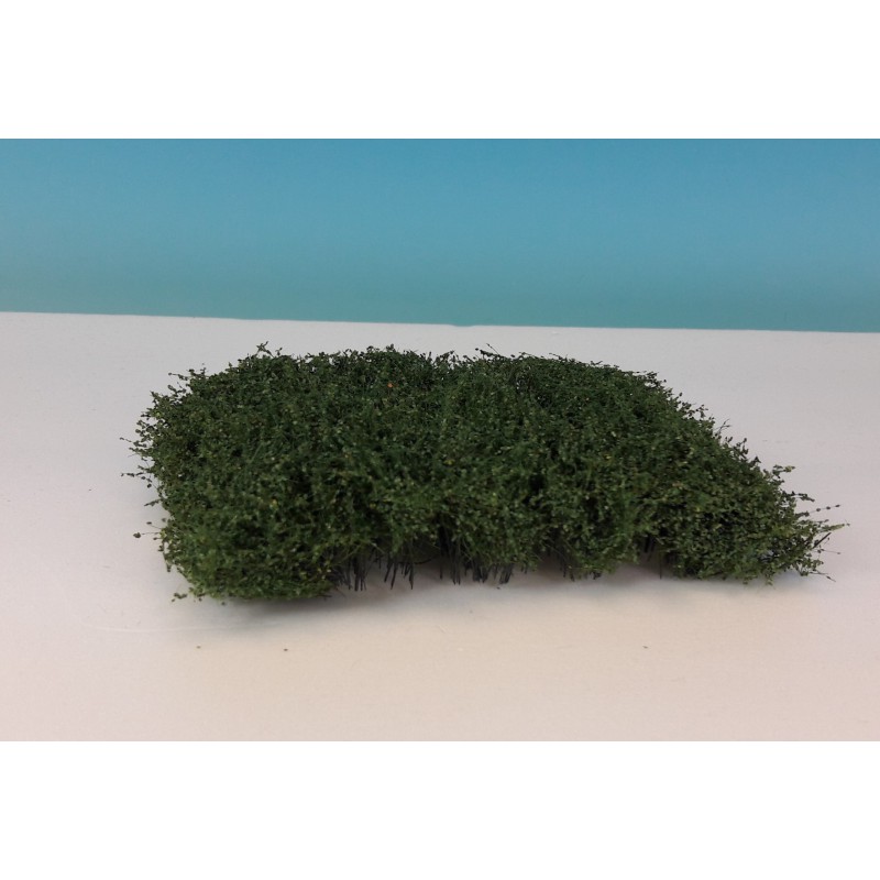 Shrubbery, spring. Shrubbery, spring.