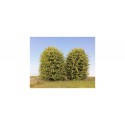 Dos arbustos de 8 cm.