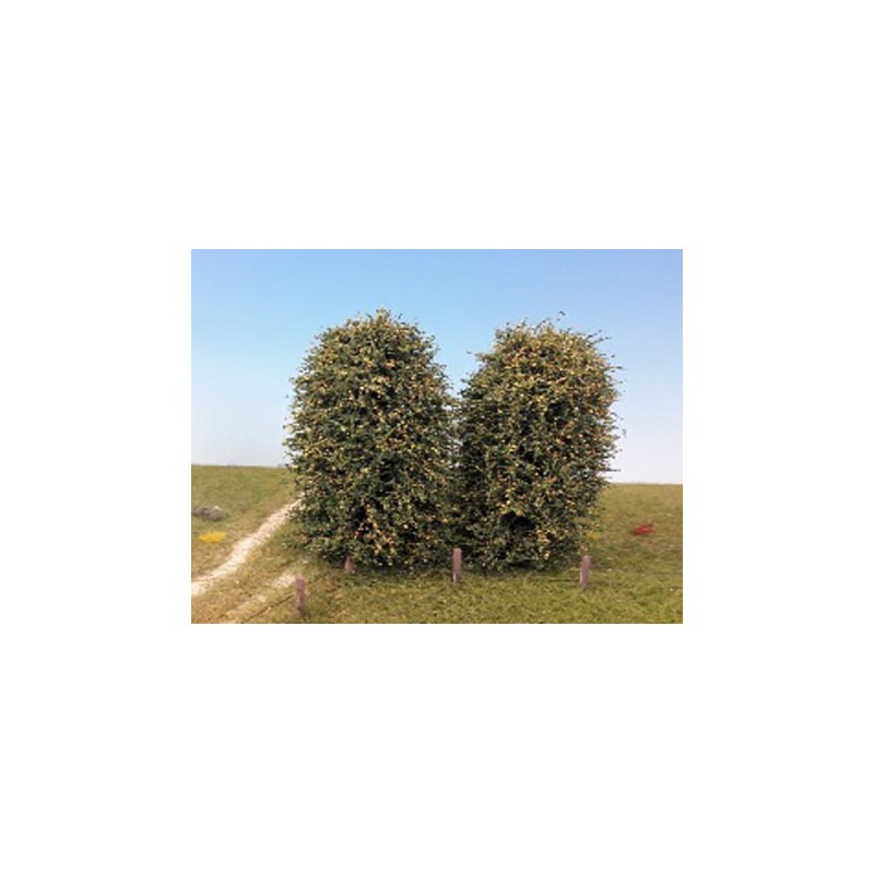 Dos arbustos, verano.