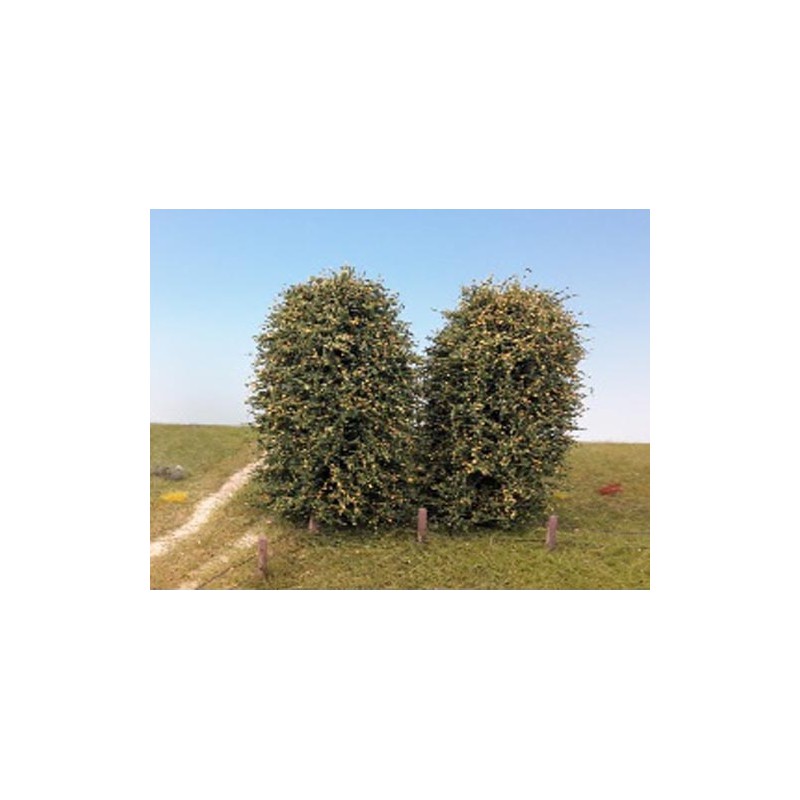 Dos arbustos, principios de otoño.