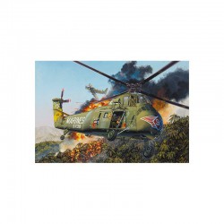 H-34 Marines della Marina degli Stati Uniti.