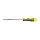 Slotted screwdriver. 2 x 40 mm. CHAVES 03220