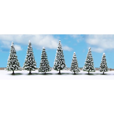 10 snow fir trees.